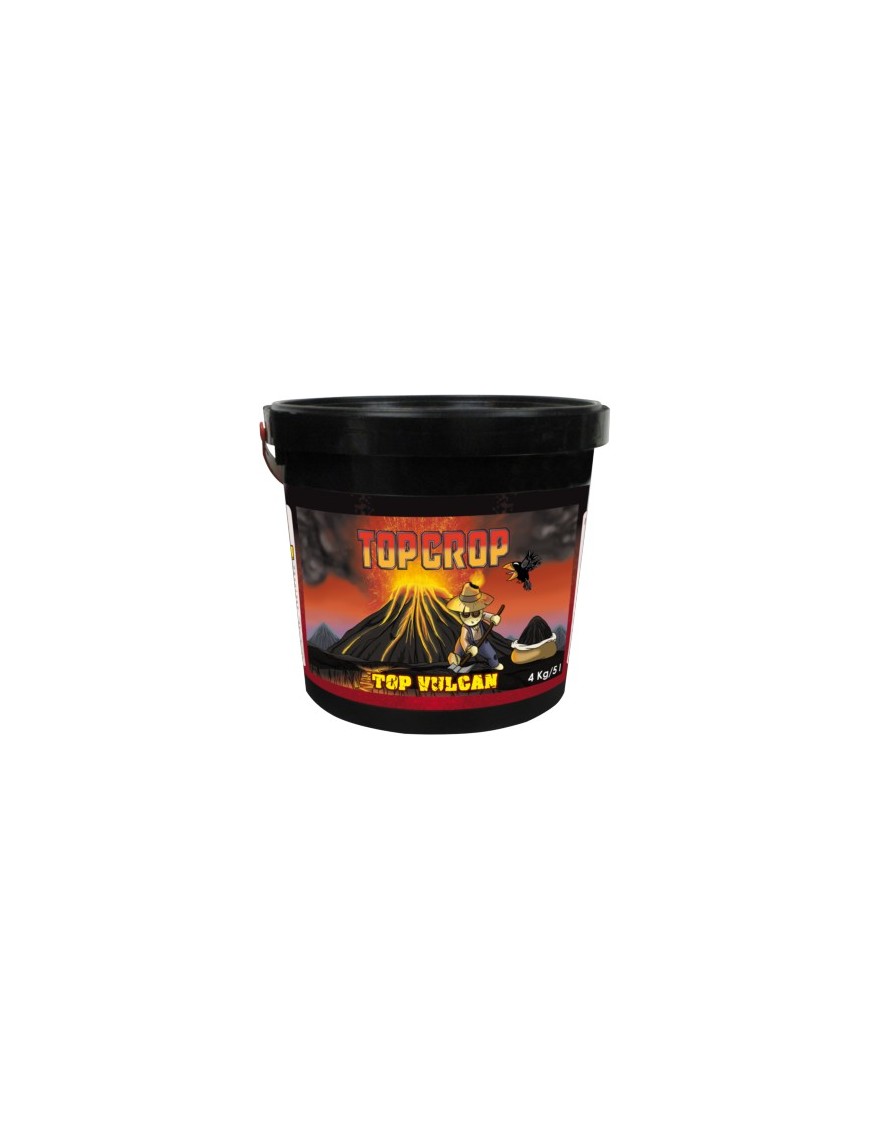 Top Crop Top Vulcan 700 Gr