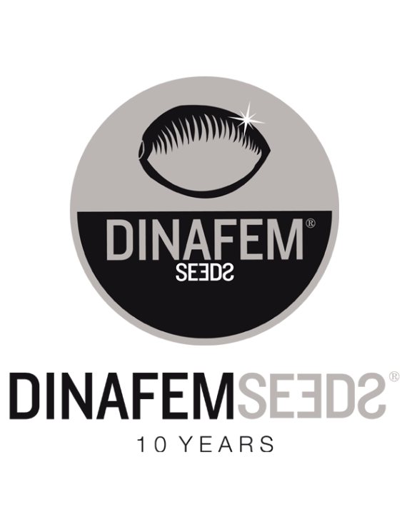 Dinafem Critical Mass CBD Dinafem Critical Mass CBD