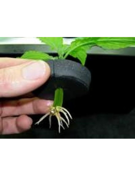 Propagatore Aeroponico 12 Vasi X-Stream - Nutriculture – Hemporium