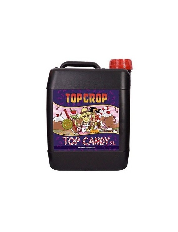 Top Crop Top Candy 5Lt