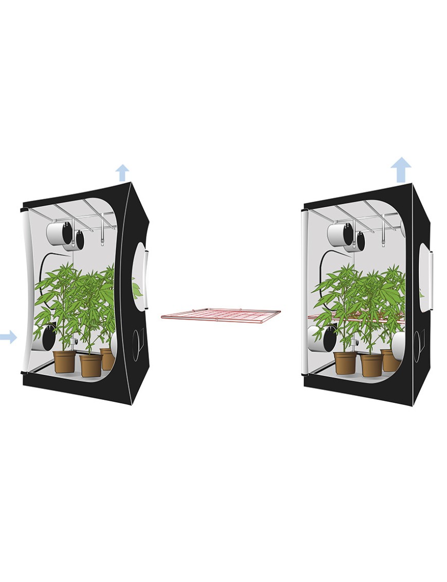 Grow Box DS90 Secret Jardin 90x90x170 v4.0 | Hemporium – Hemporium