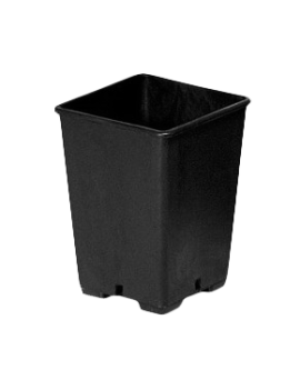 Vaso Quadrato 0,35 Lt - cm...