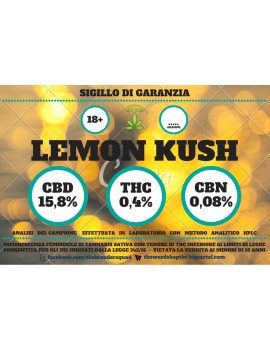 Lemon Kush- Fiori di Canapa 5g