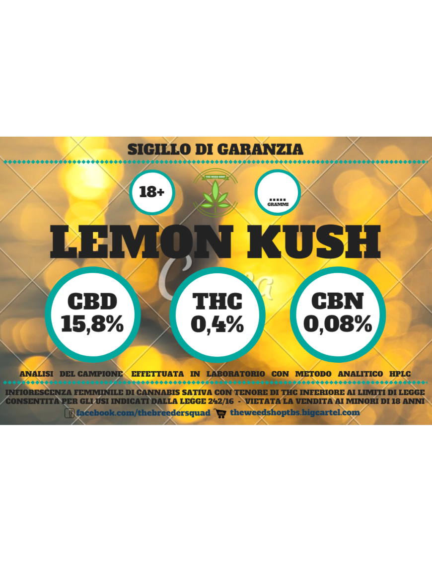 Lemon Kush- Fiori di Canapa 1 g