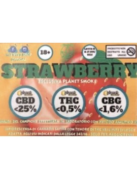 Strawberry - Fiori di Canapa 5g