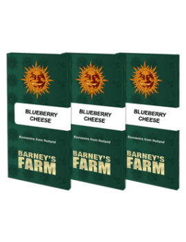 Blueberry Cheese - Barney's Farm