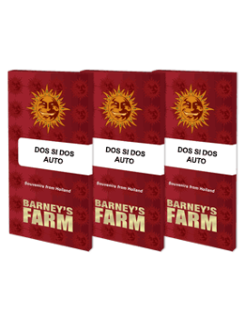 Dos Si Dos Auto - Barney's Farm