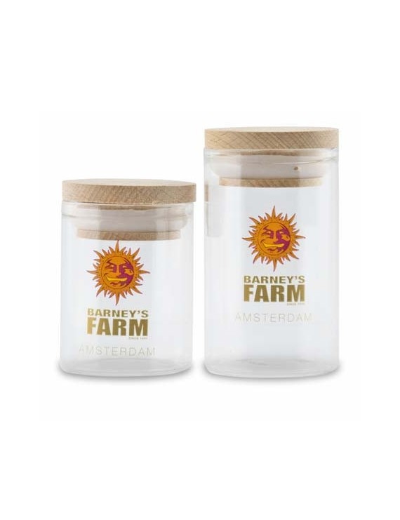 Barney's Glass Jar - Medium