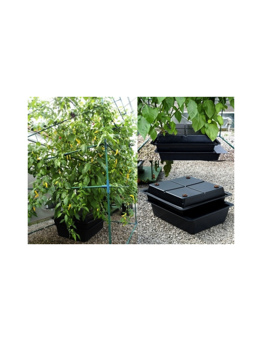 Sistema Aeroponico 8 Piante Amazon Nutriculture – Hemporium