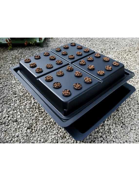 Sistema Aeroponico 16 Piante Amazon Nutriculture – Hemporium