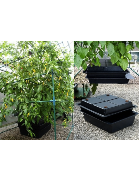 Sistema Aeroponico 32 Piante Amazon Nutriculture – Hemporium