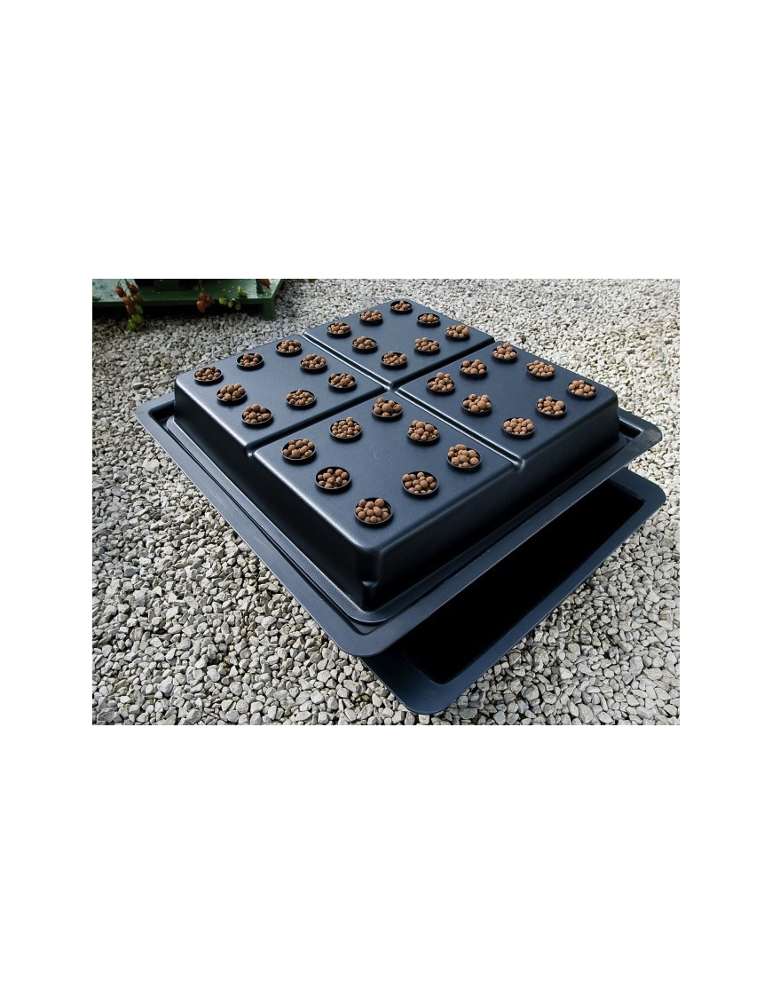 Sistema Aeroponico 32 Piante Amazon Nutriculture – Hemporium