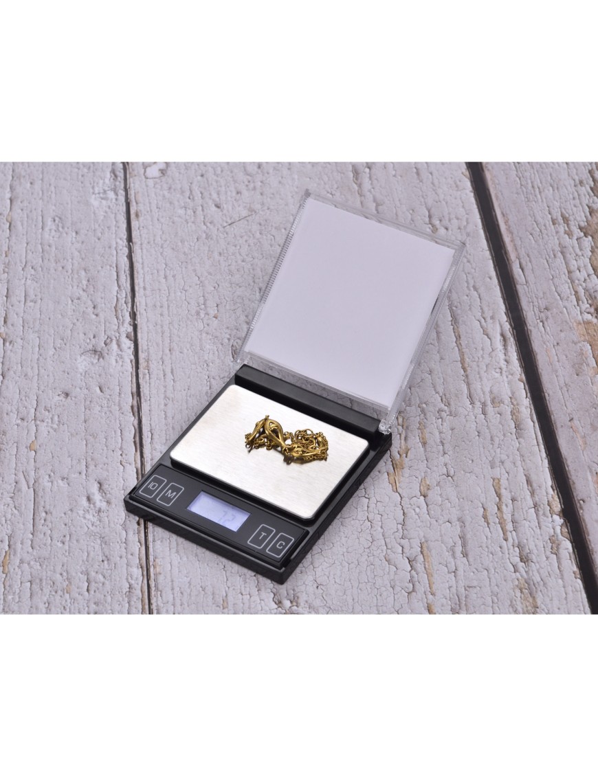 Bilancia 0.01 / 200 g Champ High DL1