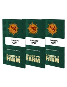 LIBERTY HAZE™ - Barney's Farm