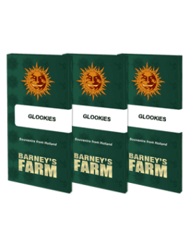 Glookies™- Barney's Farm