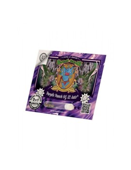 Purple Punch OG XL Auto® - Sweet Seeds