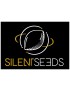 Og Kush - Silent Seeds