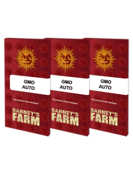 GMO Auto - Barney's Farm
