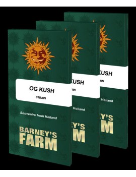 OG KUSH - Barney's Farm