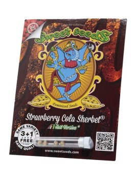 Strawberry Cola Sherbet F1 Fast Version® - Sweet Seeds