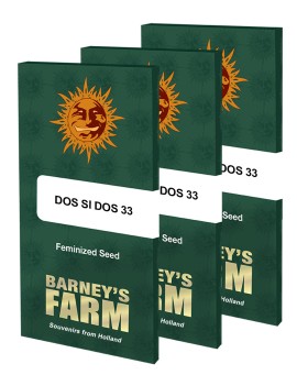 Dos Si Dos 33 - Barney's Farm