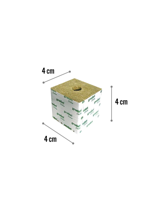 Miniserra Ventilata Lana Roccia - Kit Germinazione