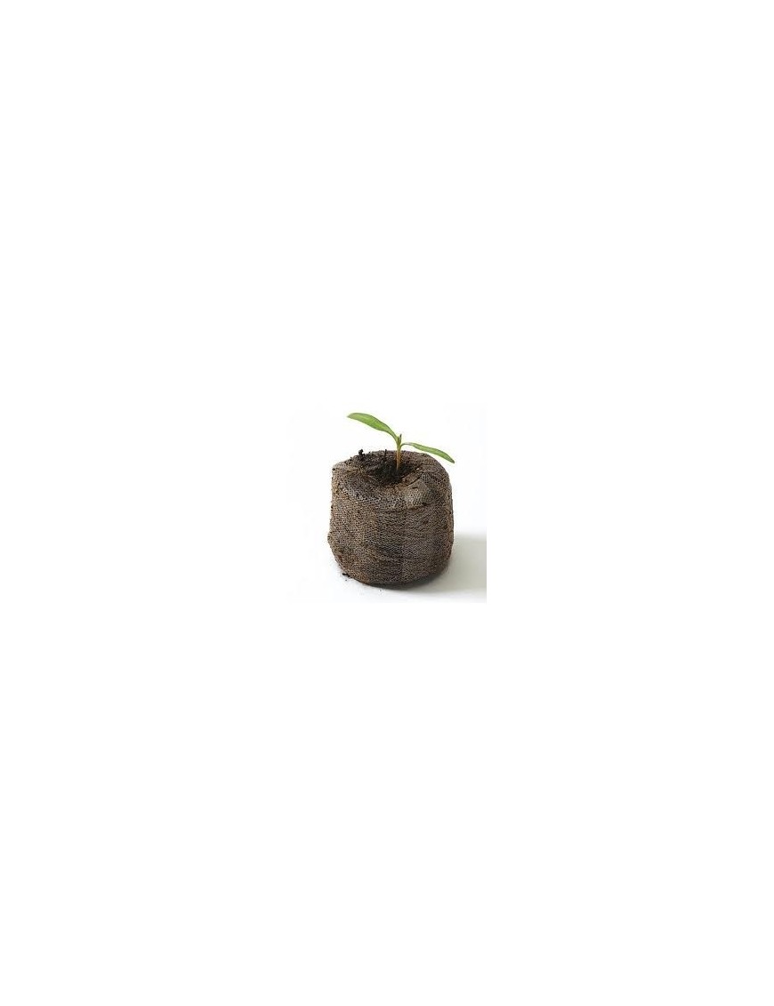 Dischetti Jiffy Torba Germinazione 41mm - 10pz | Hemporium – Hemporium