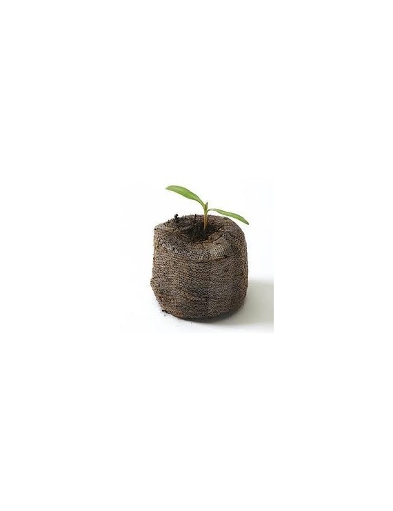 Dischetti Jiffy Torba Germinazione 41mm - 10pz | Hemporium – Hemporium