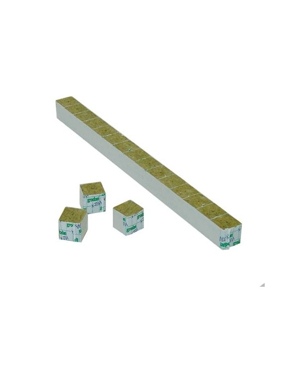 Grodan Cubetti 4x4x4 cm 10 Pezzi Lana di Roccia – Hemporium