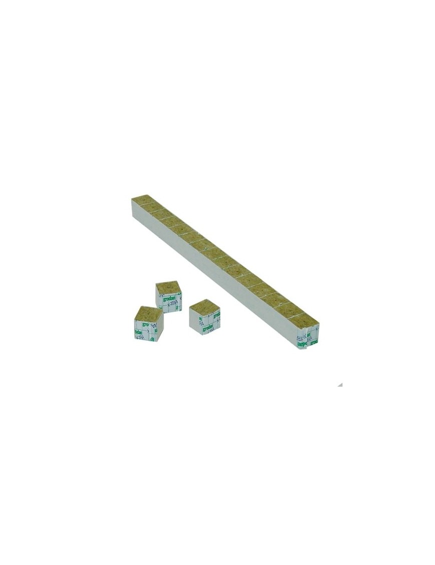 Cubetti Lana di Roccia Grodan 4x4x4 - 50 Pezzi – Hemporium