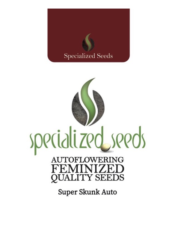 Super Skunk Auto - Specialized Seeds