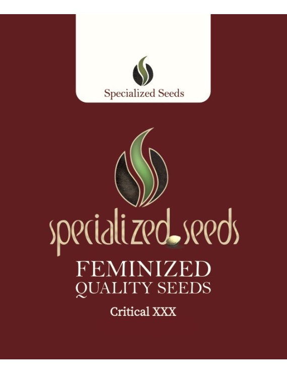 Critical XXX - Specialized Seeds
