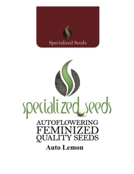 Lemon Auto - Specialized Seeds