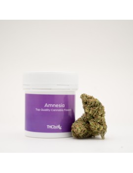 Amnesia CBD 1 gr THCBD - Dinafem