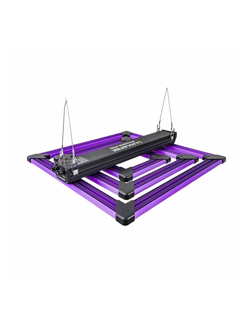 LUMATEK - ATTIS 300W PRO LED