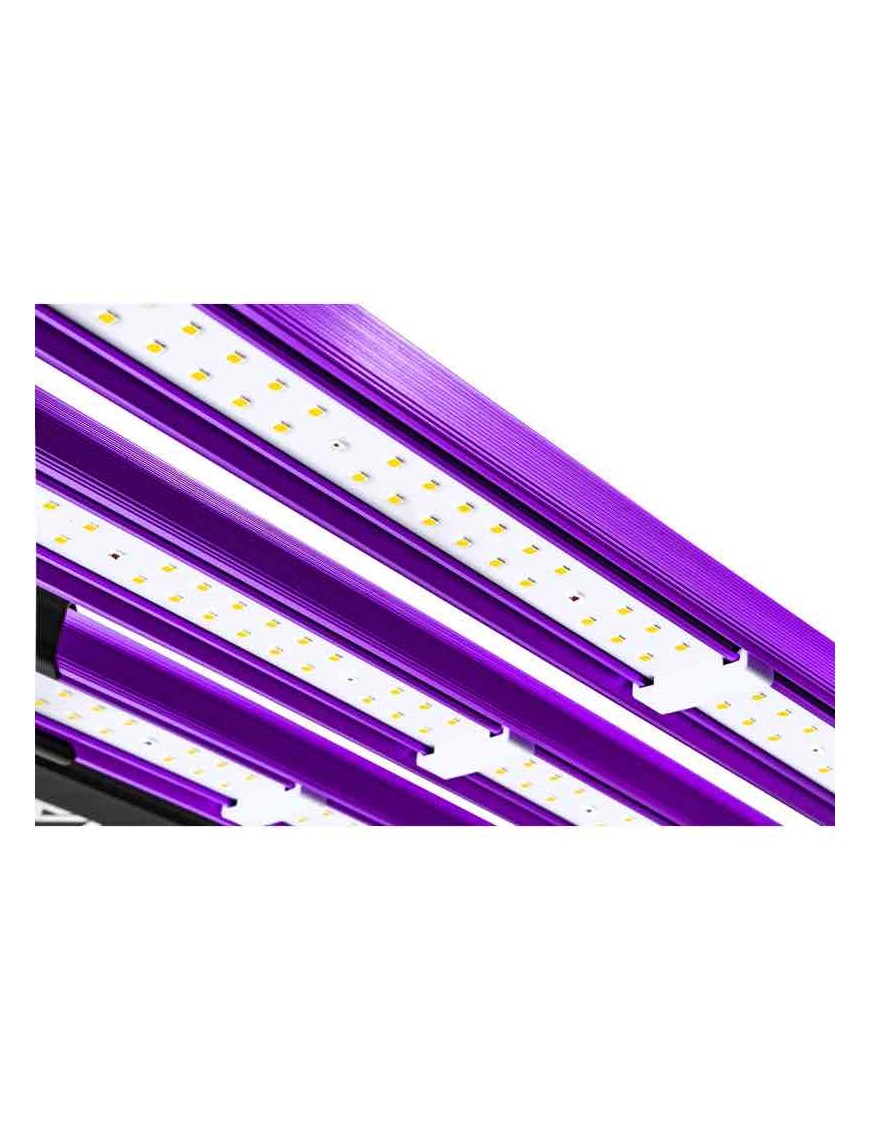 LUMATEK - ATTIS 300W PRO LED