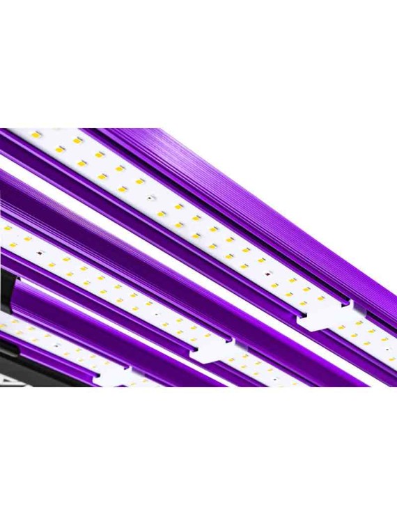 LUMATEK - ATTIS 300W PRO LED