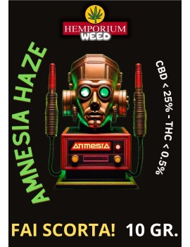 Amnesia Haze 10 gr - Hemporium Weed
