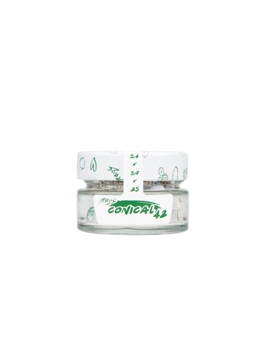 PURIZE® XTRA Slim CONICAL Filtro Conico Carbone Attivo 6mm | 42pz – Hemporium