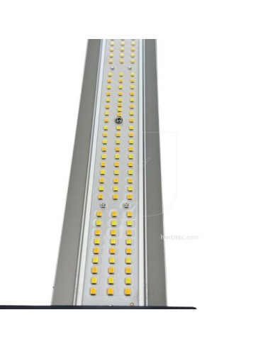 Sistema LED Orbita 750W per Coltivazione Indoor – Hemporium