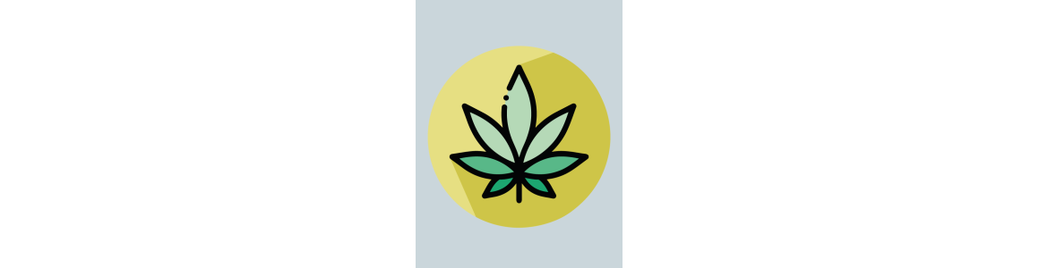 Semi di Cannabis: Esplora la Nostra Selezione Esclusiva | Hemporium