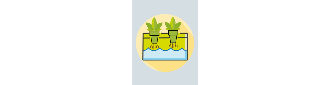 irrigazione piante