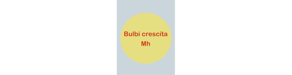 Bulbi e Lampade MH per Crescita e Taleggio - Luce Bianca/Blu