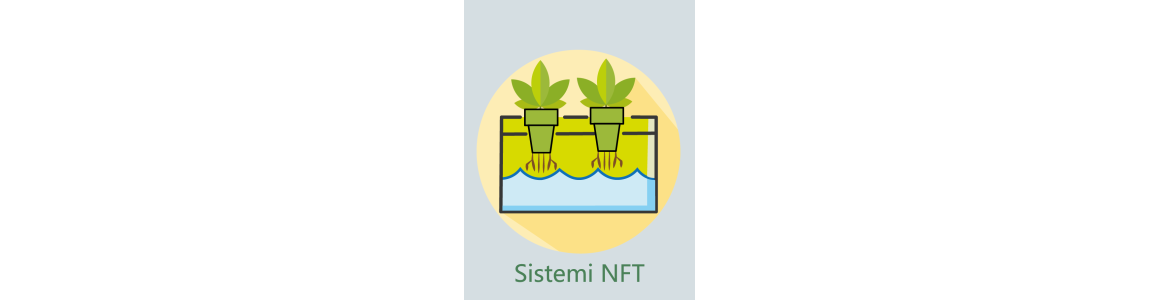 Sistemi NFT