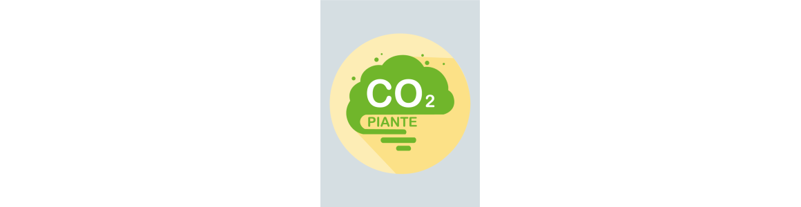 CO2 Piante