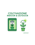 COLTIVAZIONE INDOOR E OUT