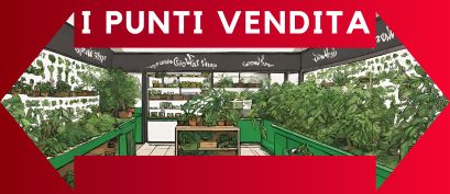 I nostri punti vendita Growshop a Roma