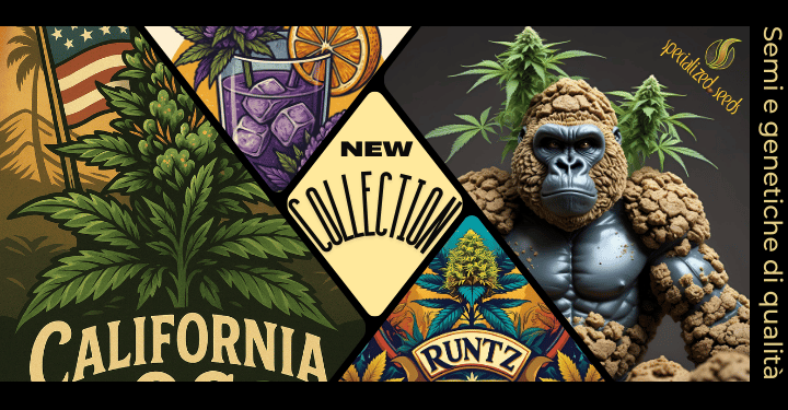 Semi da collezione specialized seeds