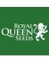 Royal Queen Seeds