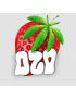 OZO